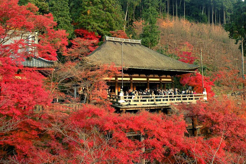 Rin Kyoto Kinkaku-Ji Temple 빌라 외부 사진